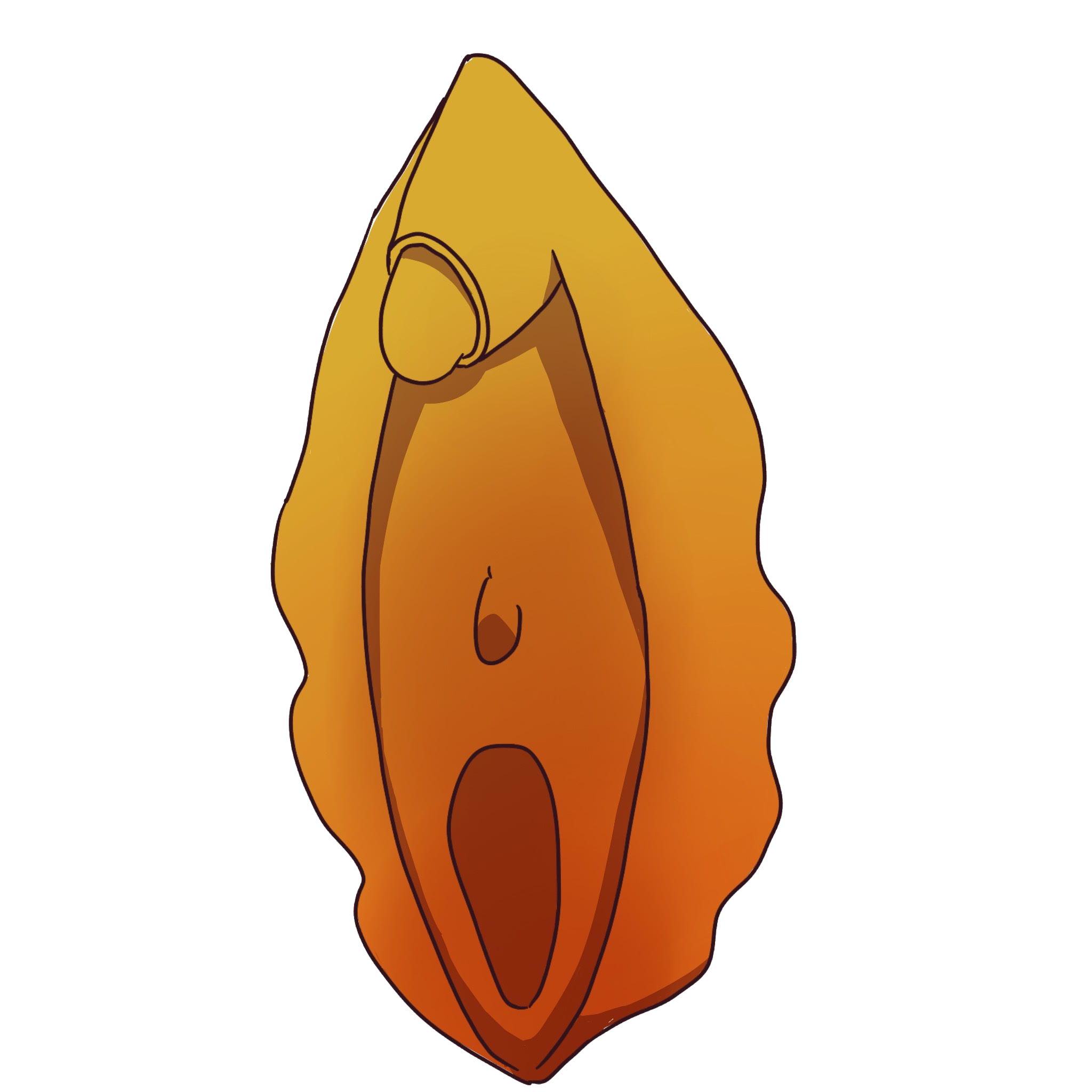 an image of a yellow and orange vulva with an arrow pointing to the bottom growth